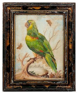 * G. Edvards, (18th century), Parrot on Branch with Butterflies