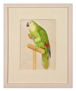 * Joseph Edward Southall, (English, 1861-1944), Study for Ariadne- Parrot