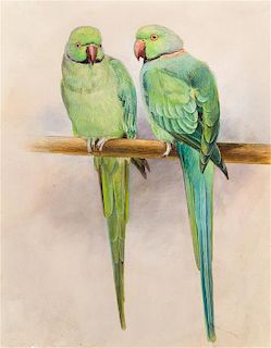 * Artist Unknown, (American School, 20th century), A Pair of Green Parakeets
