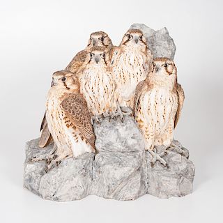 Peregrine Falcons by Ernest Muehlmatt