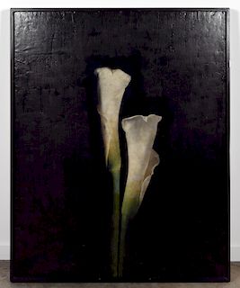 Maggie Hasbrouck, Large Photoencaustic, 2 Calla Lilies