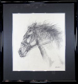 Rita Feuer, Charcoal Drawing of a Horse