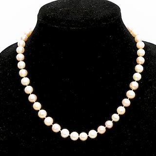 Ladies 19" Pearl Necklace with 14k Gold Clasp