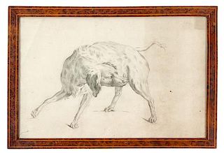 Artist Unknown, (Late 19th/Early 20th Century), Study of a Dog