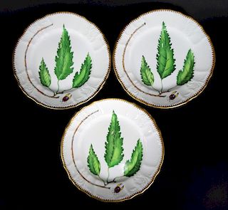 (9) Nine Anna Weatherley Green Leaf Salad Plates
