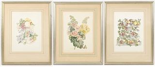 American, Trio of Watercolors of Fruit & Flowers
