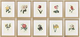 Collection of 10 Botanical Prints, After Redoute
