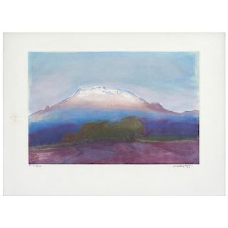 LUIS NISHIZAWA, Vista de los volcanes.