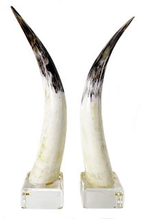 Pair of Fine Quality Presentation Tusks on Lucite