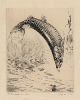 William J. Schaldach - Stripes of The Tiger. Muskalonge - Original, Signed Drypoint