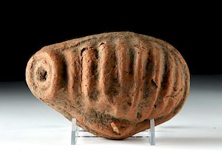 Etruscan Terracotta Votive Uterus