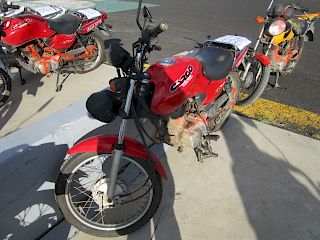 Motocicletas Honda 2005, 2010