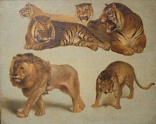 Study of Big Cats 
Lion, Tiger, & Leopard, 
unsigned, 
18th Century, 
19 3/4" x 24 3/4" 

Provenance: 
Estate of Kenneth Jay Lane