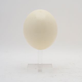 Alfonso Mena Pacheco. Huevo. Elaborado en cerámica con base de acrílico transparente. Firmado y fechado.
