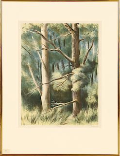 RUSSELL LIMBACH "FOREST" LITHOGRAPH IN COLOURS