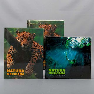 Lote de 3 libros. Temas de biología. Natura Mexicana. Consta de De la Maza, Roberto. Espacios y De la Maza, Javier Ecoturismo.