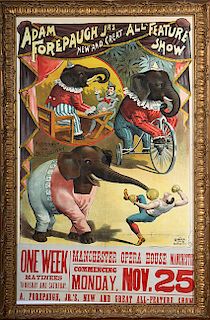 Circus Poster Rare Boxing Elephant