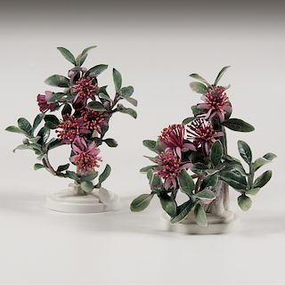 <i>Royal Worcester</i> Dorothy Doughty Mexican Feijoa Figures