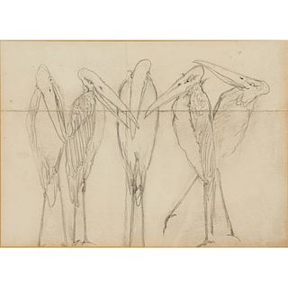 MARTIN BROTHERS Sketch (Storks)