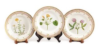 A Set of Twelve Royal Copenhagen Flora Danica Dinner Plates Diameter 10 inches.