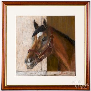 Pastel horse portrait