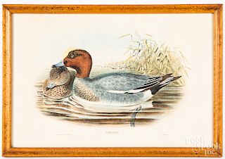 Two Gould & Richter color duck lithographs