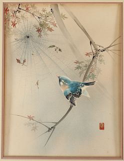 Signed, Chinese Watercolor of Bird and Spider