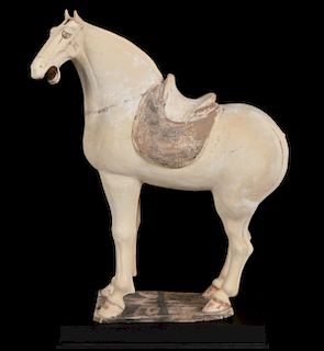 Tang Dynasty Terracota Horse W/ Paperwork