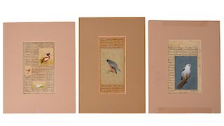 3 Indian Mughal 19th C. Watercolor Manuscripts