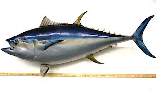 Trophy Atlantic Blue Fin Tuna Mount Over 9 Foot