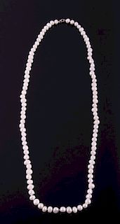 Fresh Water White Pearl Necklace
