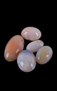 Collection of Precious Opals