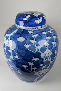 Chinese Blue/White 'Prunus' Ginger Jar & Cover