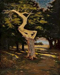 Richard Langtry Partington (American, 1868-1929)  Ghost Tree, 17 Mile Drive