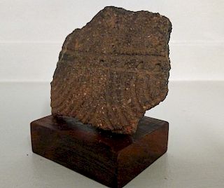Mississippian Culture CE 1100-1400 Pot Fragment