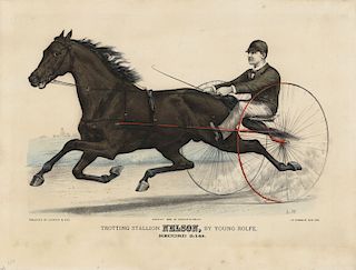 Trotting Stallion Nelson, by Young Rolfe - Original Medium Folio Currier & Ives lithograph