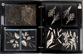 AN EXCEEDINGLY RARE COLLECTION OF 215 AVANT-GARDE PHOTOGRAPHS AND PHOTOGRAMS BY MIKHAIL MIKHAILOVICH TARKHANOV (RUSSIAN 1888-1962)