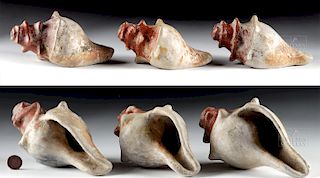 Colima Pottery Conch Shell Trumpets, 3 pcs