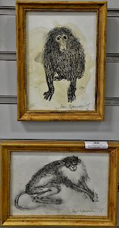 Three Jean Hannon (American 20th century), ink and wash on paper, monkey, signed: Jean Hannon, one unframed of turtle J. Hannon. 6 3...