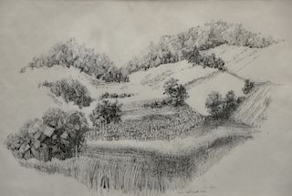Anna Tefft Siok, woodblock print, landscape, signed and dated lower right: Anna Tefft Siok 1972. sight size 18 1/2" x 27 1/2"