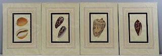 Set of 4 Hand Colored Engravings After