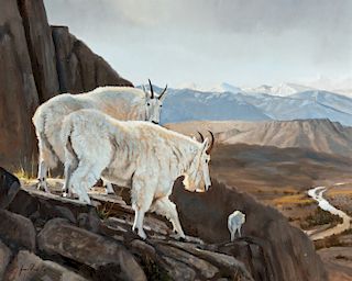 Grant Hacking (b. 1964) On the Verge - Mountain Goats