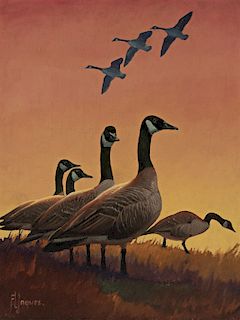 Francis Lee Jaques (1887-1969) Canada Geese