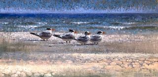 Ewoud de Groot (b. 1969) Resting Terns