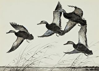 Milton C. Weiler (1910-1974) Four of a Kind - Black Duck