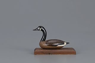 Miniature Canada Goose, Edward T. Parsons (1856-1937)