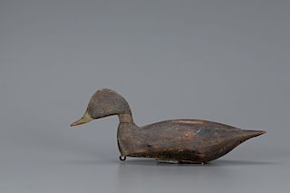 Swimming Black Duck, Lloyd J. Tyler (1898-1970)