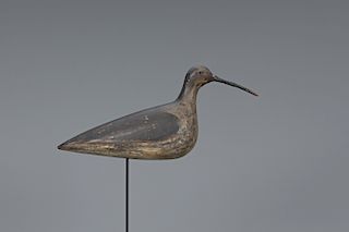 Hollow Curlew, Winslow Family (attr.)