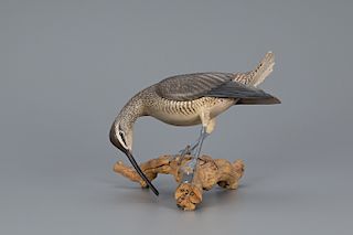 Feeding Hudsonian Curlew, Lemuel T. Ward (1896-1983)