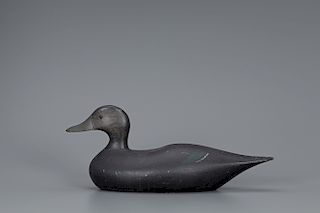 Early Black Duck, Joseph W. Lincoln (1859-1938)